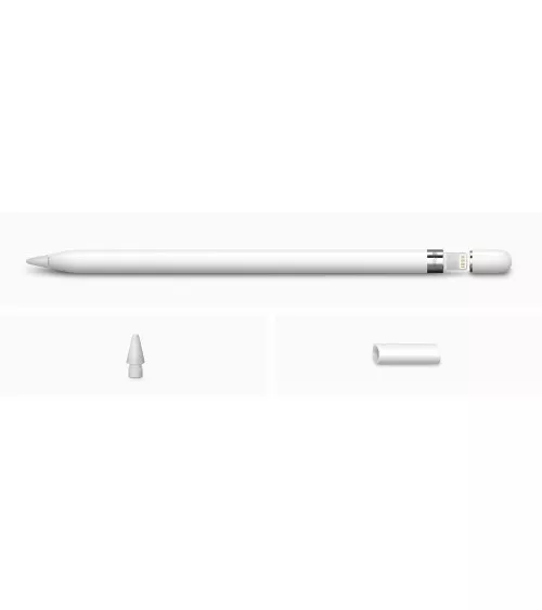 Apple Pencil 1ère génération 2015 reconditionné | Refabz