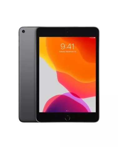 iPad mini 5 reconditionné | Refabz