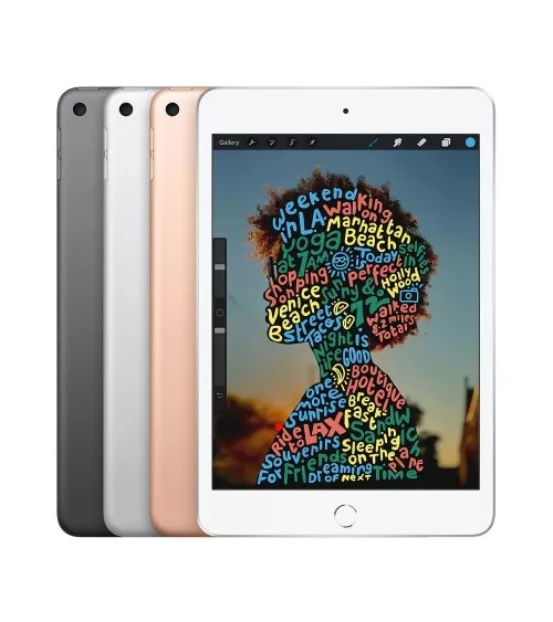 iPad mini 5 reconditionné | Refabz