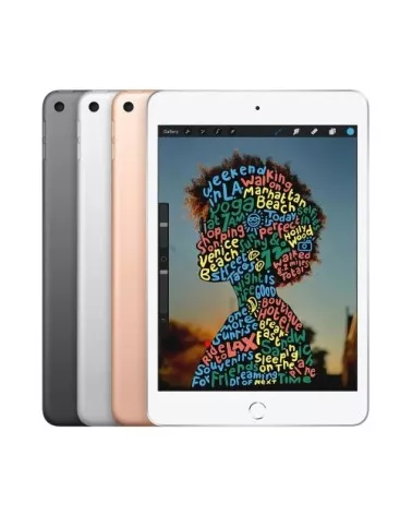 iPad mini 5 reconditionné | Refabz