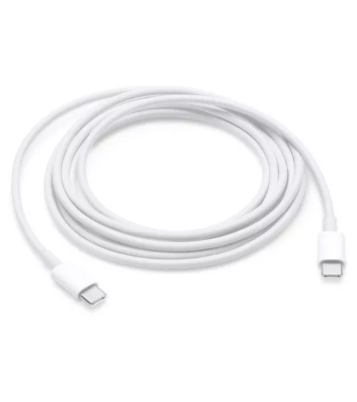Apple Charging Cable (2 m)