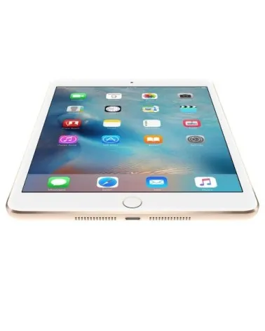 iPad mini 4 reconditionné | Refabz