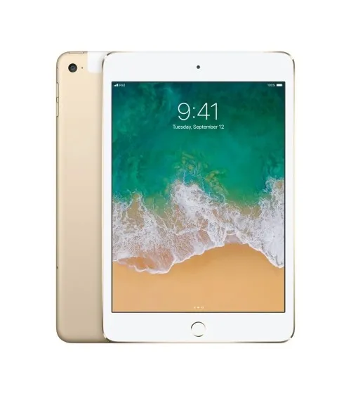 iPad mini 4 reconditionné | Refabz