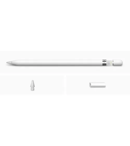 Apple Pencil 1ère génération 2015 reconditionné | Refabz