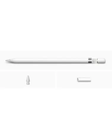 Apple Pencil 1ère génération 2015 reconditionné | Refabz
