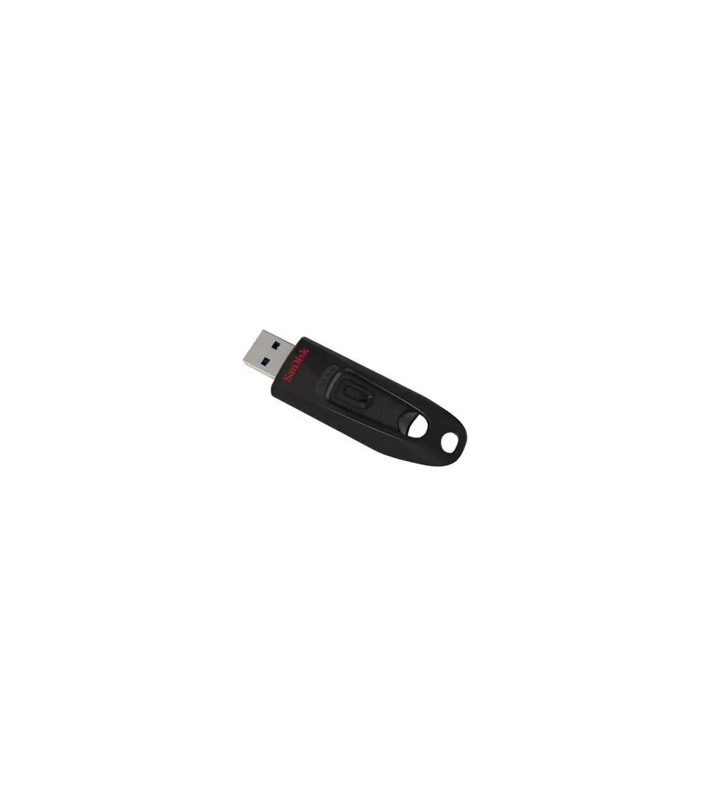 SanDisk 256 GB USB 3.0-minne