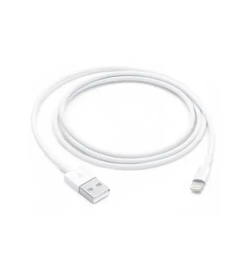 Câble Lightning vers USB-A 1m pour iPhone, iPad reconditionné | Ma Fabrik