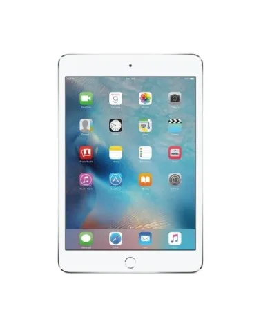 iPad mini 4 reconditionné | Refabz