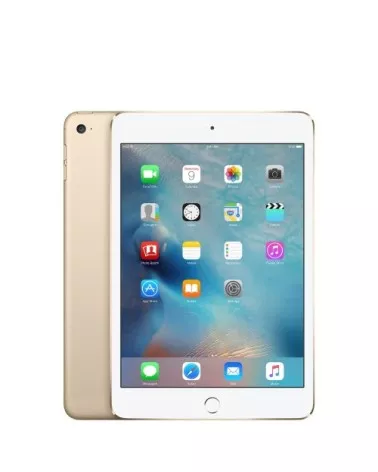 iPad mini 4 reconditionné | Refabz