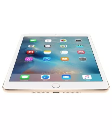 iPad mini 4 reconditionné | Refabz