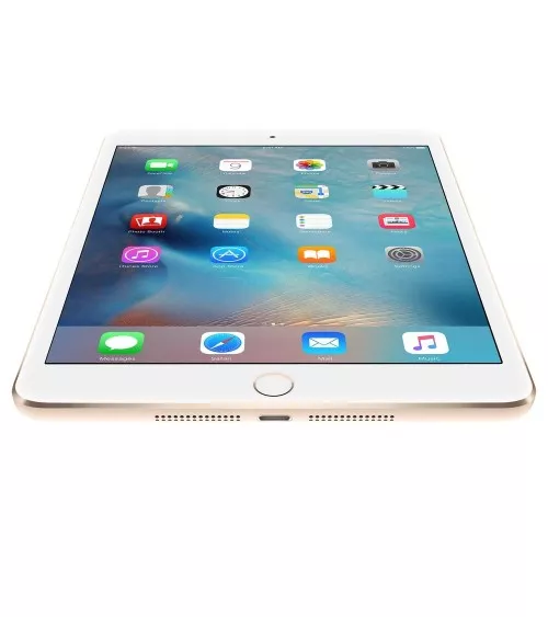 iPad mini 4 reconditionné | Refabz