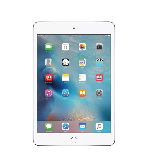 iPad mini 4 reconditionné | Refabz