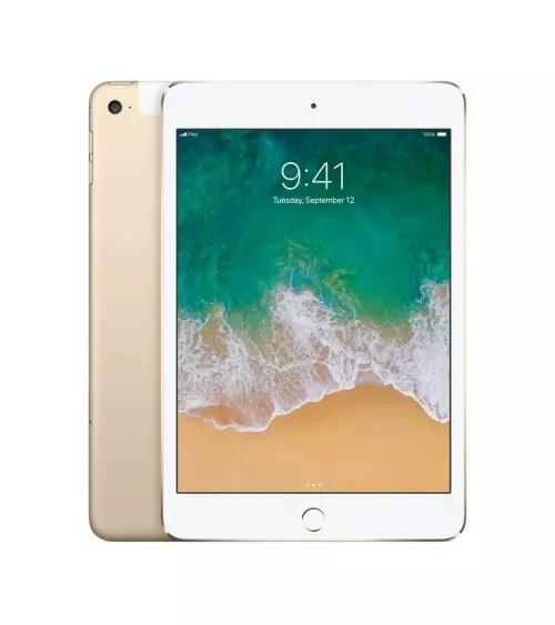 iPad mini 4 reconditionné | Refabz