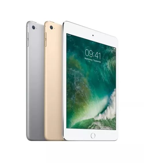 iPad mini 4 reconditionné | Refabz