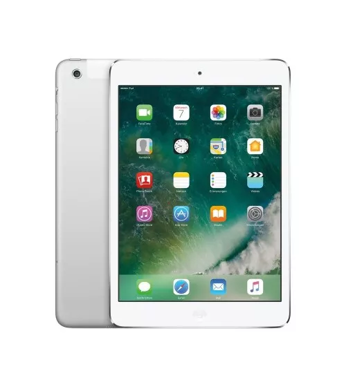 iPad mini 2