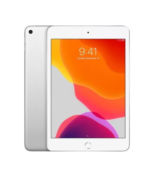 iPad mini 5 reconditionné | Refabz