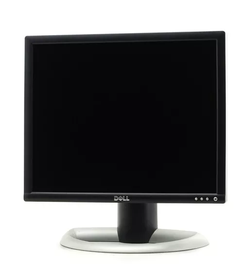 Ecran Dell 1901FP 19" reconditionné | Refabz