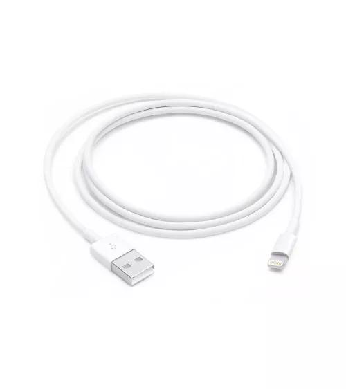 Câble Lightning vers USB-A 1m pour iPhone, iPad reconditionné | Ma Fabrik