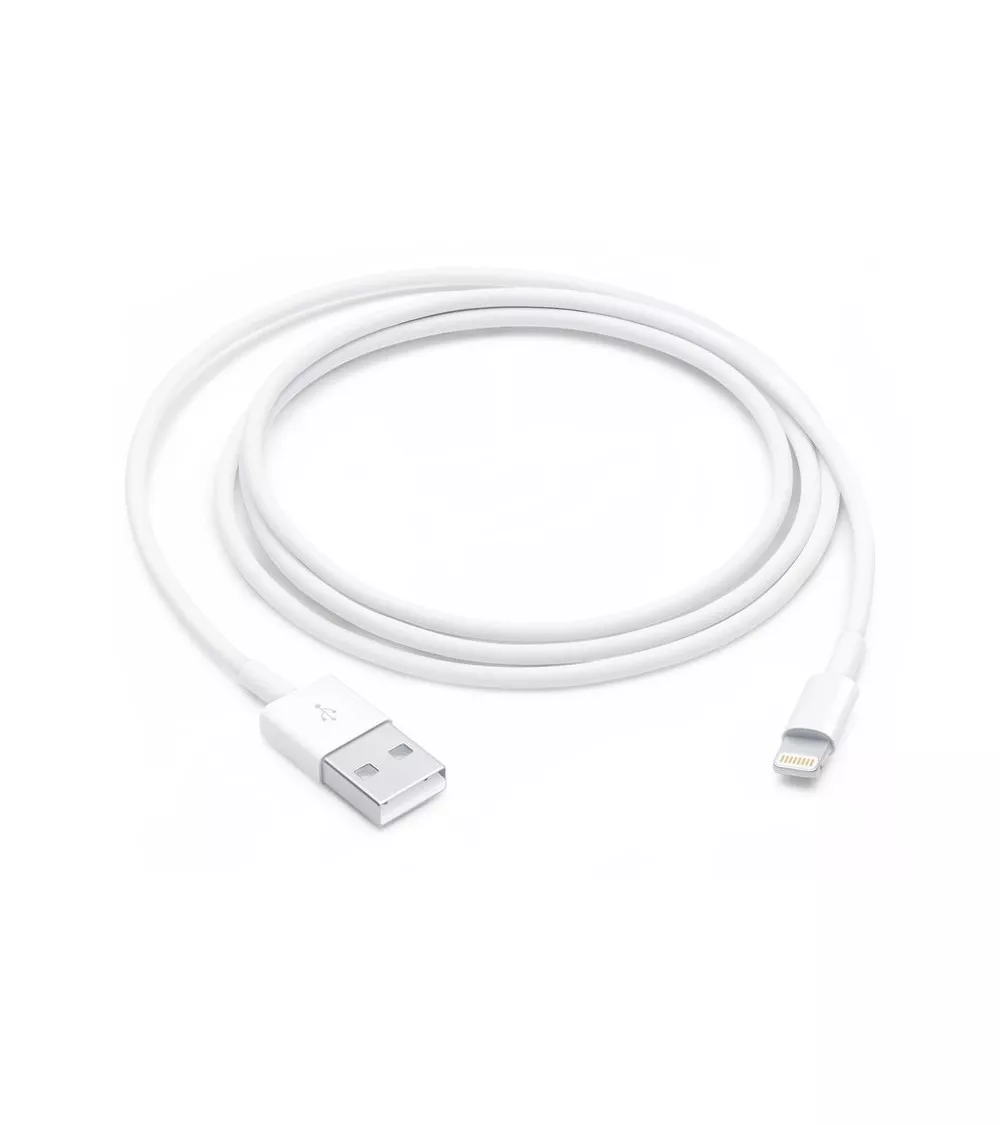 Câble Lightning vers USB-A 1m pour iPhone, iPad reconditionné | Ma Fabrik