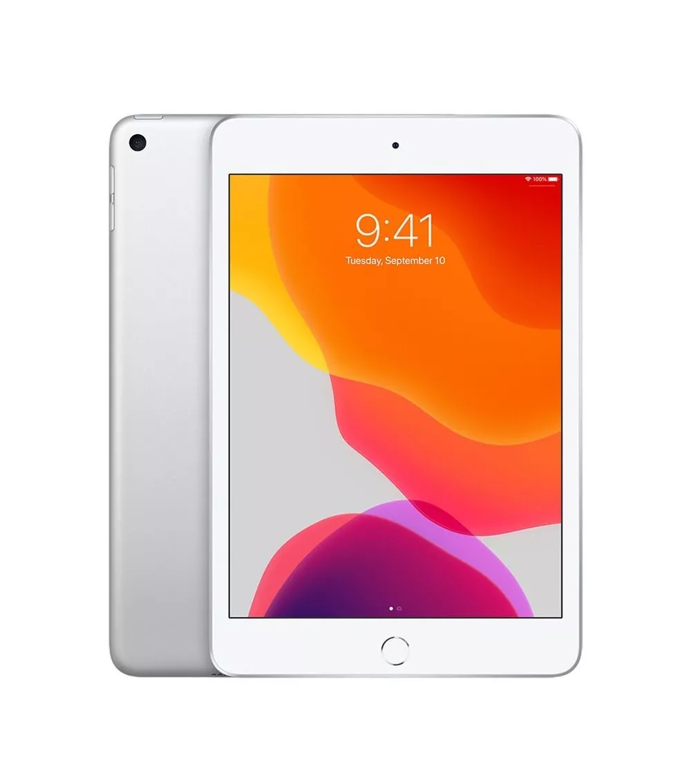 iPad mini 5 reconditionné | Refabz