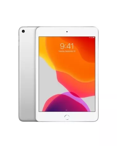 iPad mini 5 reconditionné | Refabz