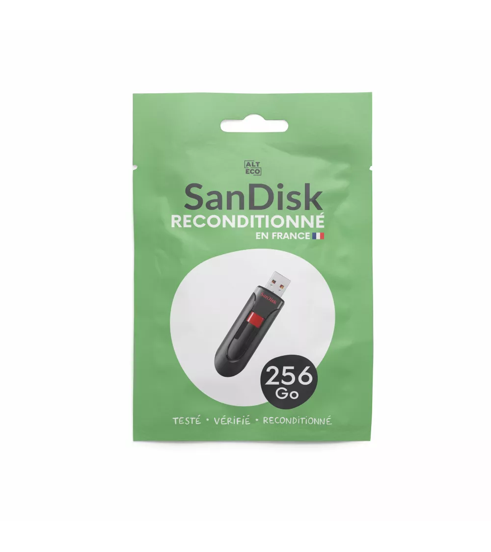 Clé USB 2.0 SanDisk 256 Go reconditionné | Refabz